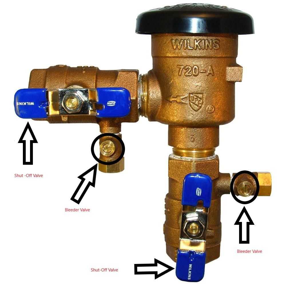 Back-flow-preventer-sprinkler.jpg